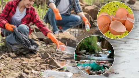 Estudiantes recolectan cascarón de huevo para limpiar el Río Lerma
