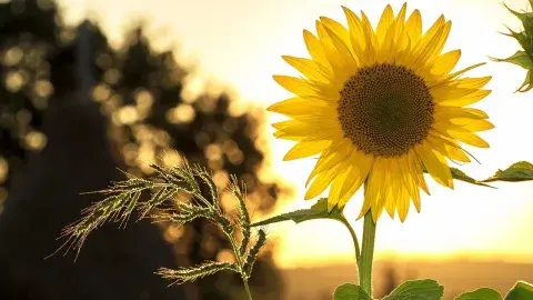 5 acciones Tec con las que puedes comenzar a cuidar el medio ambiente
