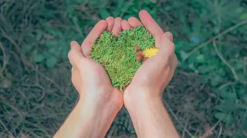 La pandemia, ¿un respiro para el medio ambiente?