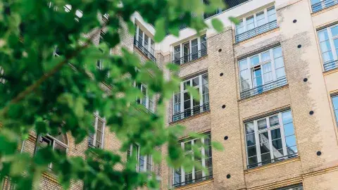 Sustentabilidad en las ciudades: 5 aprendizajes para mejorarla