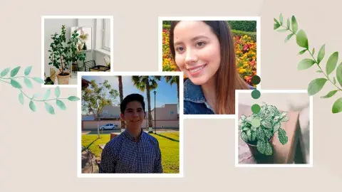 Composterra: el emprendimiento post pandemia para suelos más fértiles