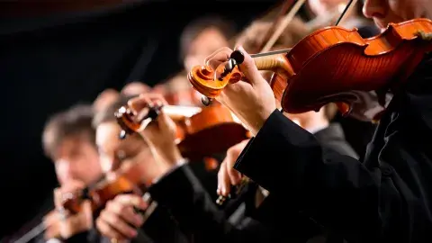 Profesores Tec Saltillo mostrarán su talento en festival Cervantino