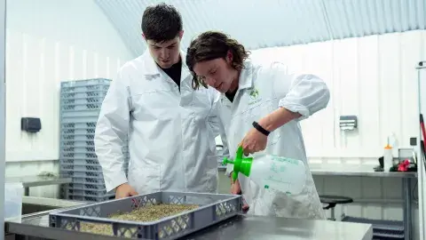Estudiantes de ingeniería crean evento de talla internacional