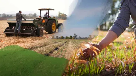 3 startups que siembran la innovación para una agricultura sustentable