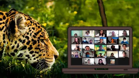 18 estudiantes Tec buscan la preservación del jaguar 