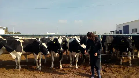 EXATEC se integra a empresa mundial líder en producción de carne