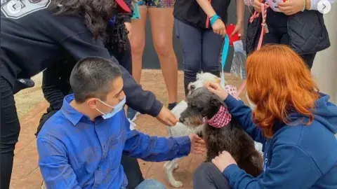 ¡Huella canina! Alumnos ayudan a perros en situación de calle