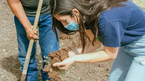 ¡Piensa verde! Egresada crea empresa que busca recuperar los suelos