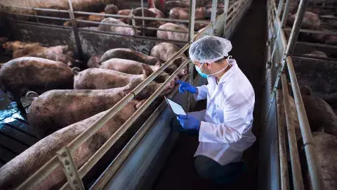 ASU y Tec colaboran para vivir reto con empresa trasnacional