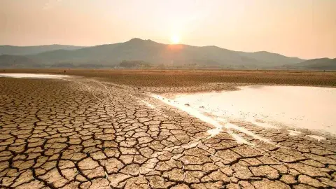Drought in Mexico: what causes it and how do we tackle it?