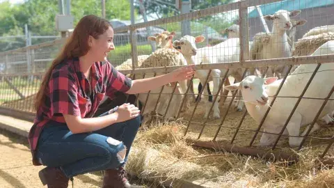Viven alumnos un verano Tec con enfoque alimentario en Ciudad Obregón