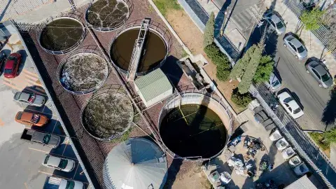 Estas son las acciones del campus Mty para ahorrar y cuidar del agua
