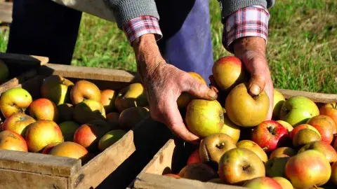Conoce la startup que ayuda reducir los desperdicios en alimentos