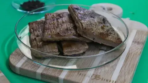 ¡Emprender en alimentos! Inaugura Tec startup de carne cultivada