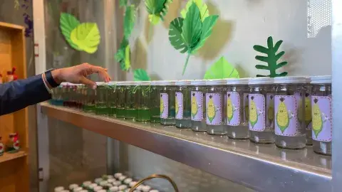Alumnos del Tec crean huerto y laboratorio de biotecnología en museo