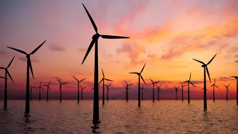 Emprendedora sinaloense lleva proyecto de energías renovables a Chile