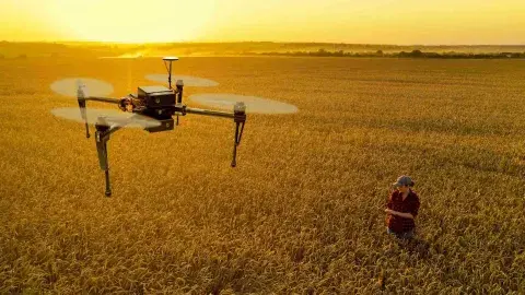 Estudiantes Tec colaboran en proyecto de reforestación ¡con drones!