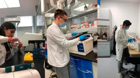 Estudiantes Tec ganan oro por proyecto de investigación en ReachSci