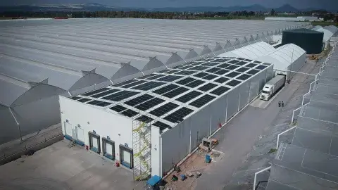 ¡Con basura! EXATEC desarrolla planta de energía a través de residuos