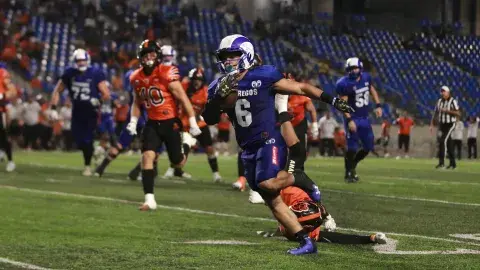 ¡A la final! Buscará Borregos Monterrey bicampeonato de Liga Mayor