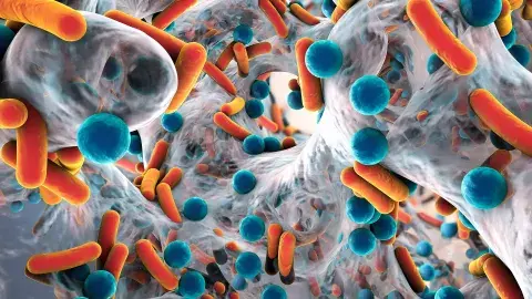 Desafiando antibióticos: profesora Tec es premiada por investigación