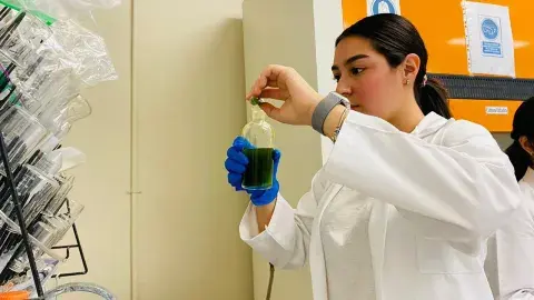 ¡Luz con clorofila! Alumnas de PrepaTec Navojoa crean bioplaca solar