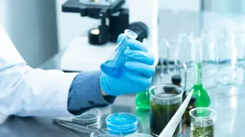 ¡Química ambiental! Profesor Tec presenta estudio en congreso mundial