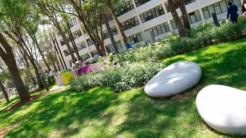 Espacio sostenible: crea Tec Gdl jardín para estudio colaborativo