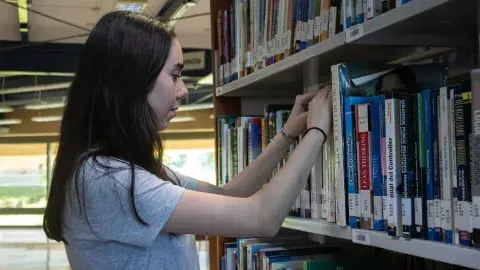 ¡Crece entre letras y gana una beca artística en San Luis Potosí!  