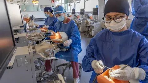 Tec’s Dentistry program reaccredited for its educational quality