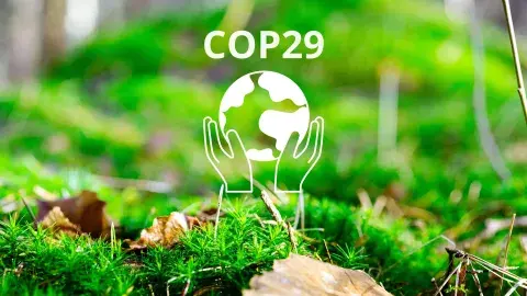 COP 29: comunidad del Tec destaca acciones en cumbre global climática