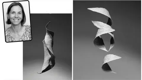Creativity! Professor wins international photography award
