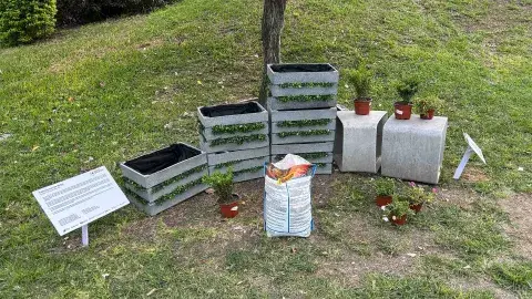 Miel, arte e IA: estudiantes Tec ganan concurso creativo con abejas