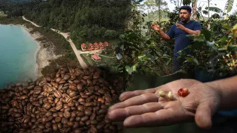Café, ecoturismo y unión: la apuesta de esta comunidad en Chiapas