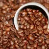 Residuos del café, una mina de oro para el sector agroindustrial