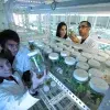 Igem Latam