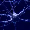 Fotografía Ilustrativa de neurona