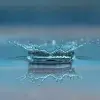 Encuentro de gestión del agua