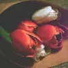 Descubre a la persona que tienes que festejar este 14 de febrero