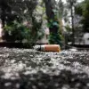 Día Mundial sin Tabaco Tabaquismo Fumar Cigarro