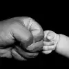 paternidad
