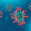 5 respuestas sobre la emergencia internacional por nuevo coronavirus