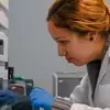 Recursos y herramientas esenciales para investigadores académicos