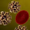 ¿Cómo daña el nuevo coronavirus el cuerpo humano?