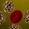 ¿Cómo daña el nuevo coronavirus el cuerpo humano?