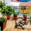 Huerto en casa