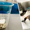Un pequeño montón de colillas en un recipiente de laboratorio y estudiantes en proceso de transformación.