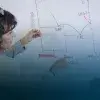 Impresiona su labor y recibe distinción de Profesora Inspiradora 2020