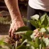 Alumno Tec crea BioYum, empresa en pro de la agricultura sustentable