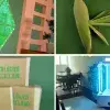 15 award-winning innovations from the Tec’s entrepreneurship festival